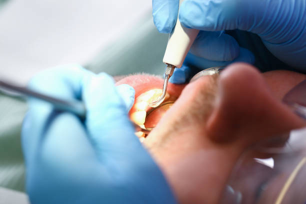 Best Emergency Dental Care for Trauma or Injury in Rogers City, MI